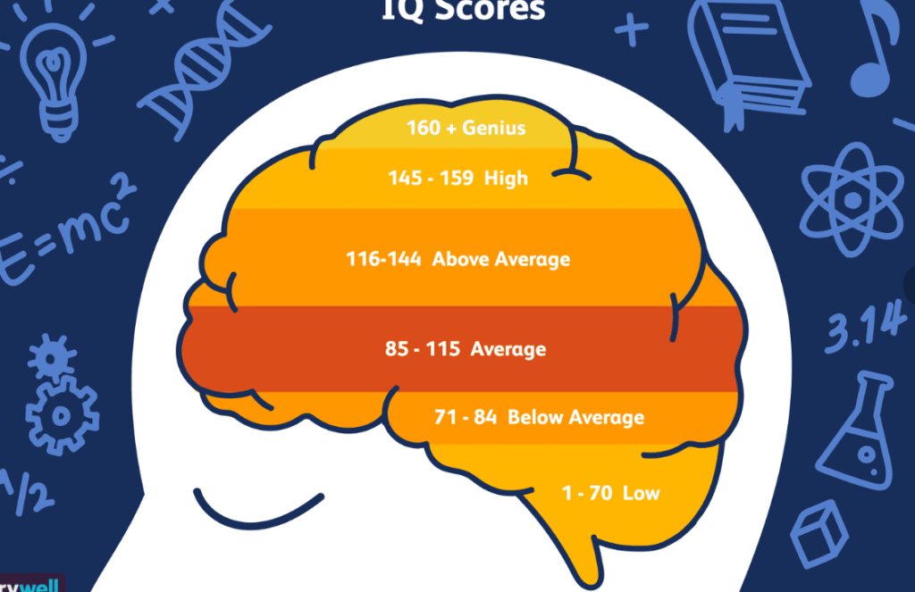 IQ Test Results